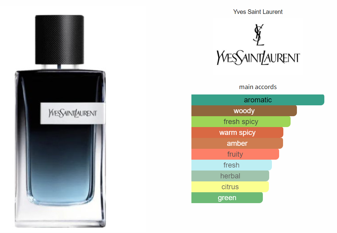 All-Day Confidence: TOP 3 Long-Lasting Perfumes for Men